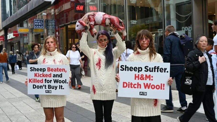 Tre attiviste di PETA manifestano su una via pedonale affollata davanti a un negozio H&M. Indossano maglioni di lana pesanti color panna, visibilmente imbrattati di finto sangue rosso, e hanno il viso truccato con ferite e sangue finto. La donna al centro, con i capelli viola, solleva sopra la testa un modello realistico di pecora scorticata e insanguinata. Le altre due donne tengono dei cartelli bianchi con il logo PETA: a sinistra si legge "Sheep Beaten, Kicked and Killed for Wool. Don't Buy It." ("Pecore picchiate, prese a calci e uccise per la lana. Non compratela."), a destra "Sheep Suffer. H&M: Ditch Wool!" ("Le pecore soffrono. H&M: abbandona la lana!"). Sullo sfondo si scorgono passanti e l'insegna rossa di H&M.